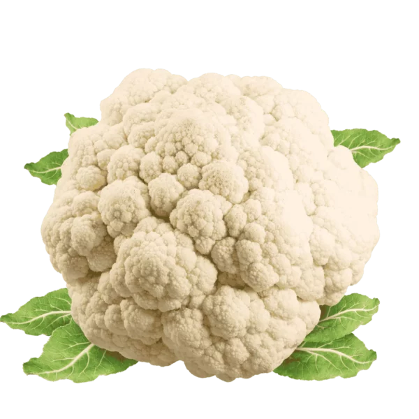 Blumenkohl 8Kg