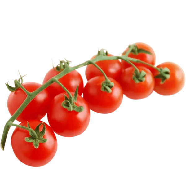 Strauch Cherrytomaten 3Kg