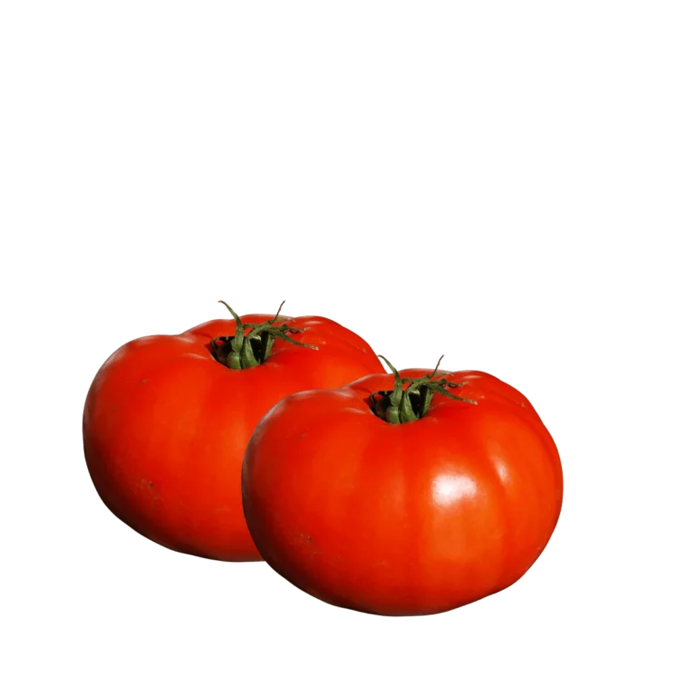 Fleischtomaten 7Kg