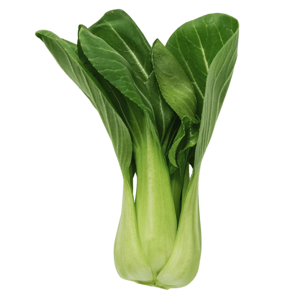 Pak Choi 8Kg