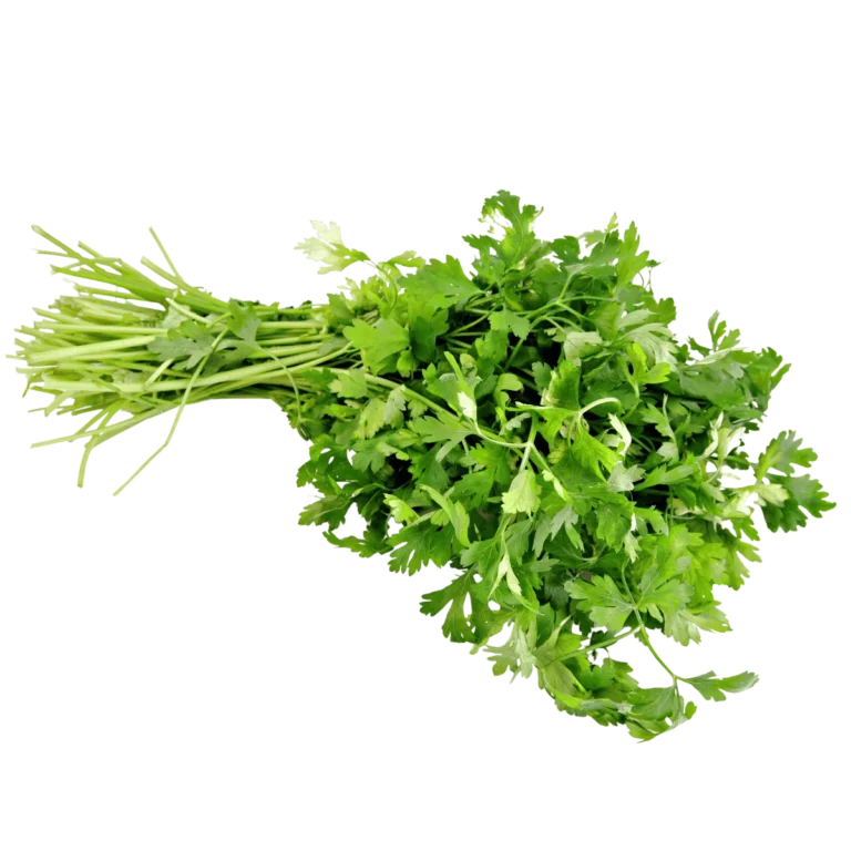 Petersilie frisch 5Kg
