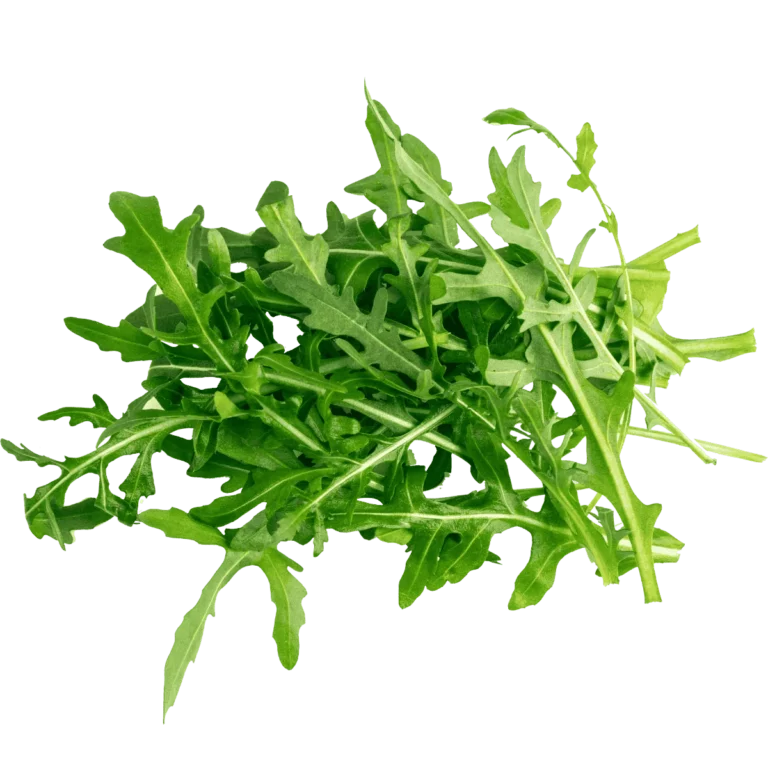 Rucola Salat Schale 250g