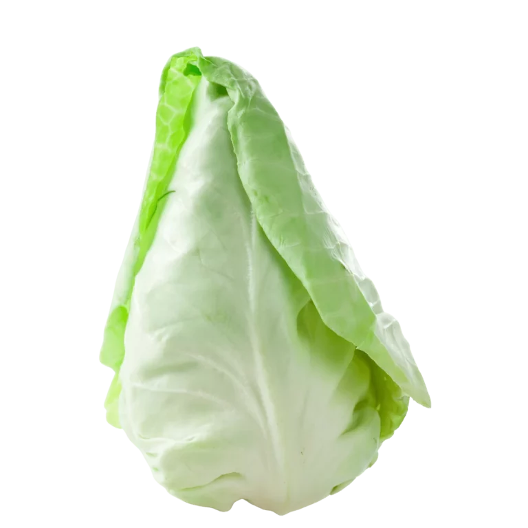 Spitzkohl 8Kg