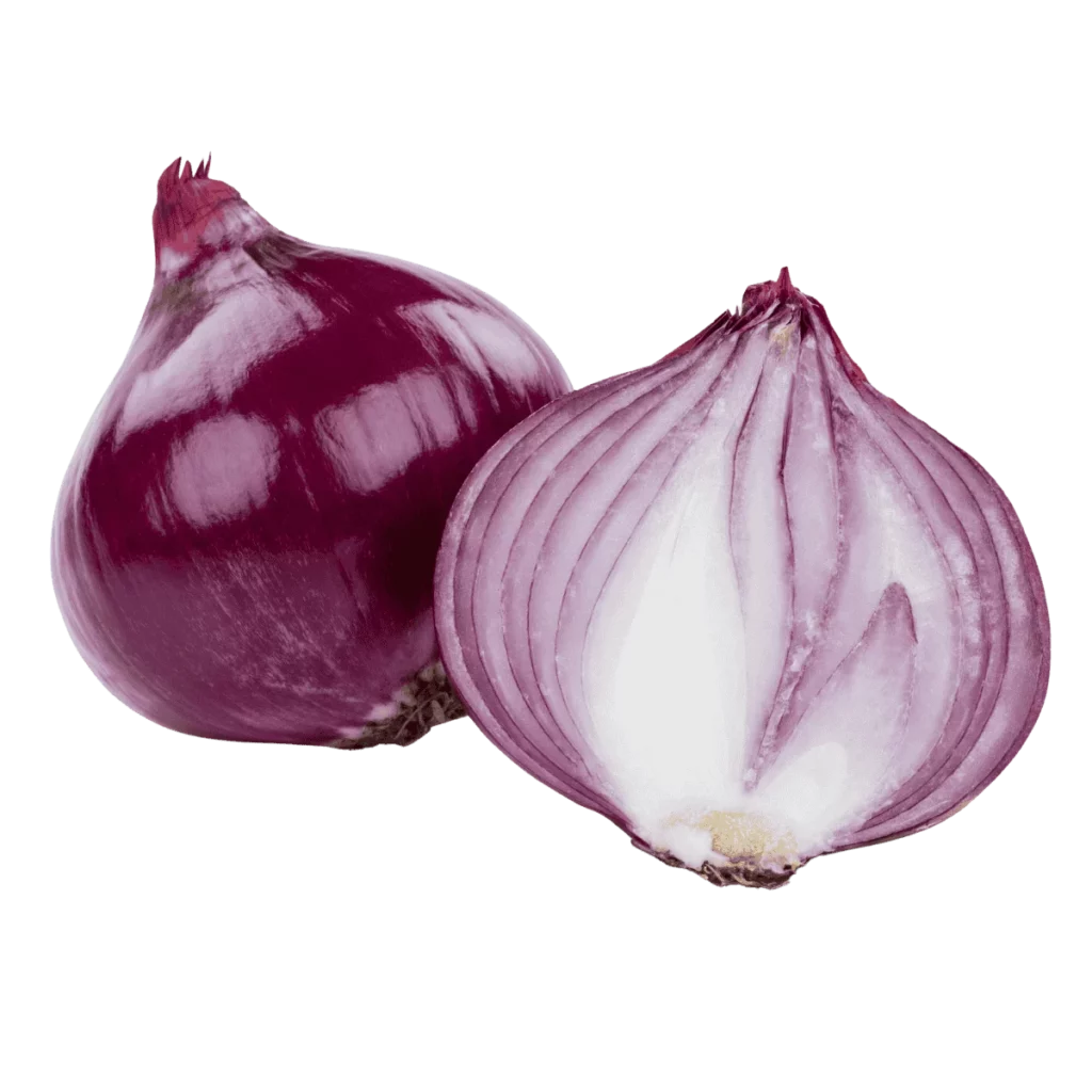Rote Zwiebel 10 Kg 80-100