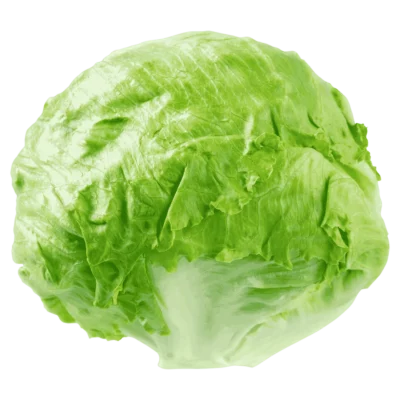 Eisbergsalat Karton 5Kg