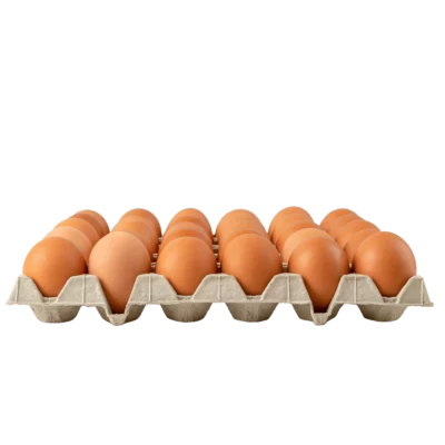 Eier  Größe M Klasse A 30er