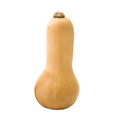 Flaschen Kürbis 800 1400g