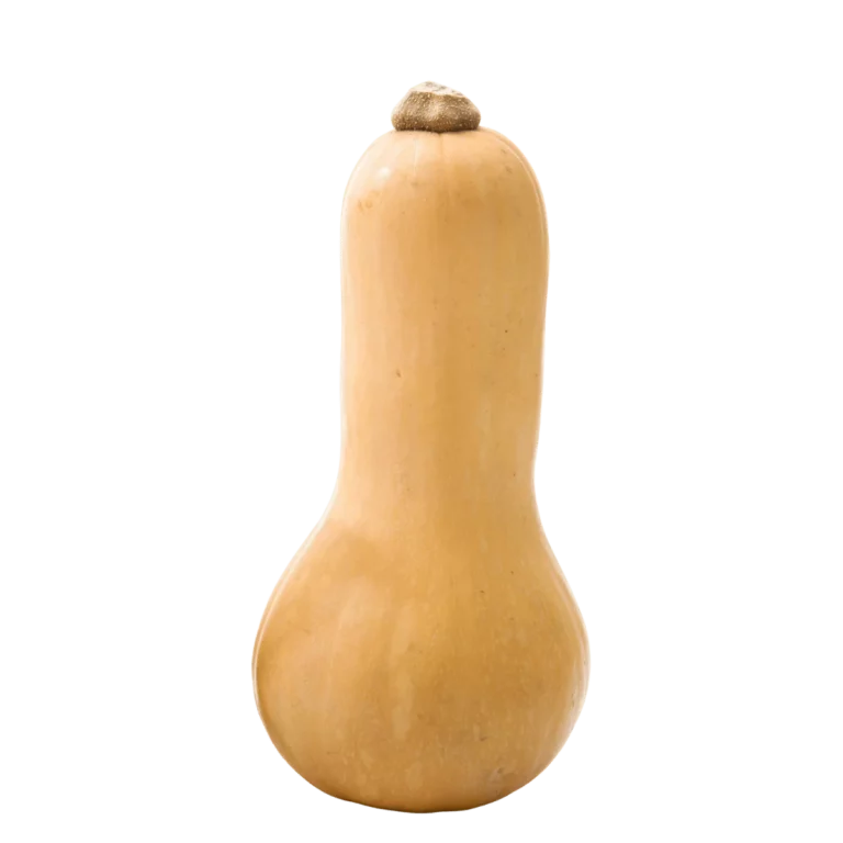 Flaschen Kürbis 800 1400g