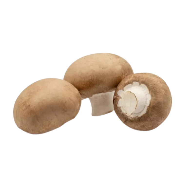 Kastanien Pilze 3Kg