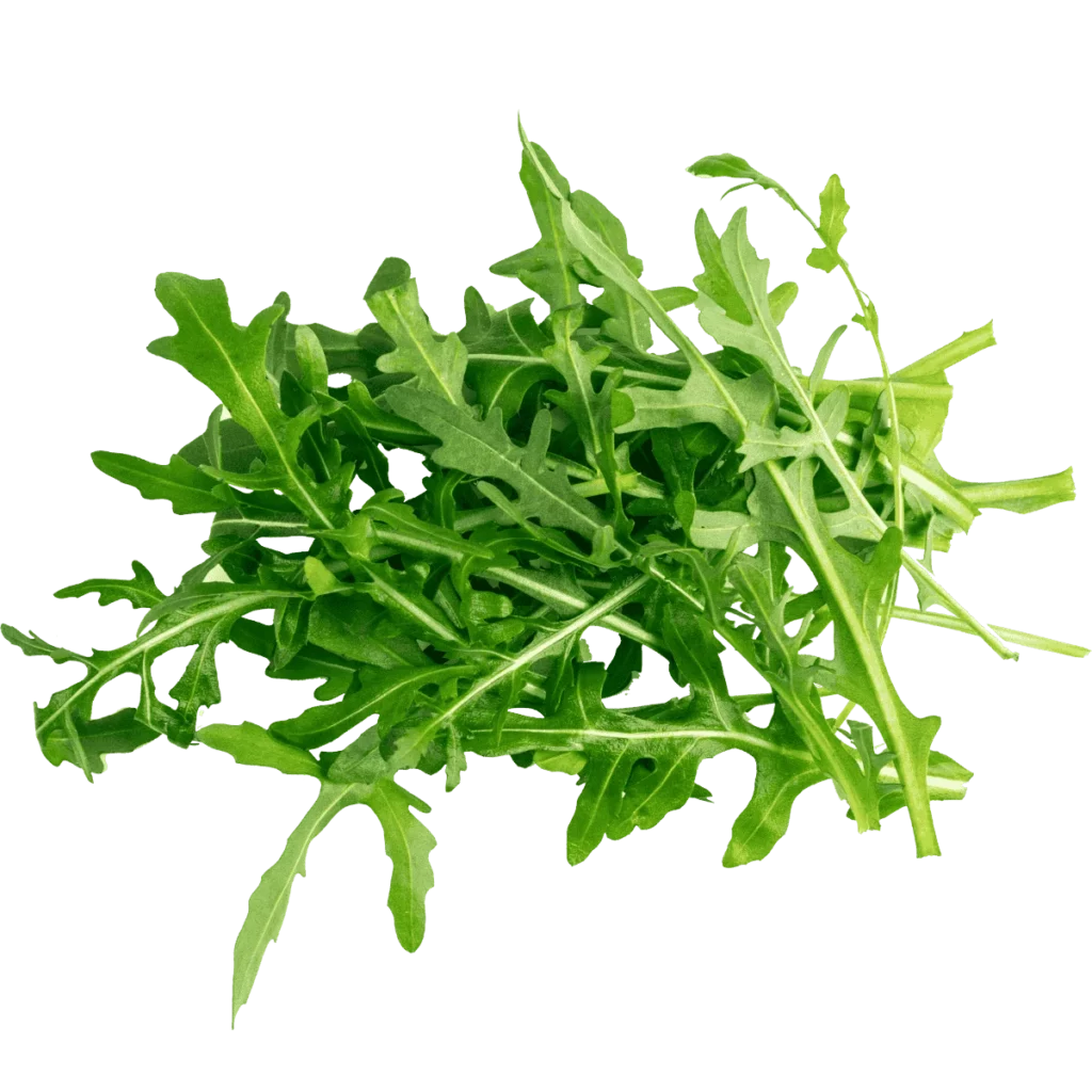 Rucola Schale 125g