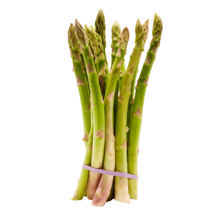Spargel grün Ca. 11 Bund 5kg
