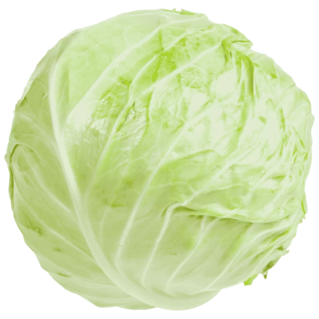 Weißkohl 10Kg