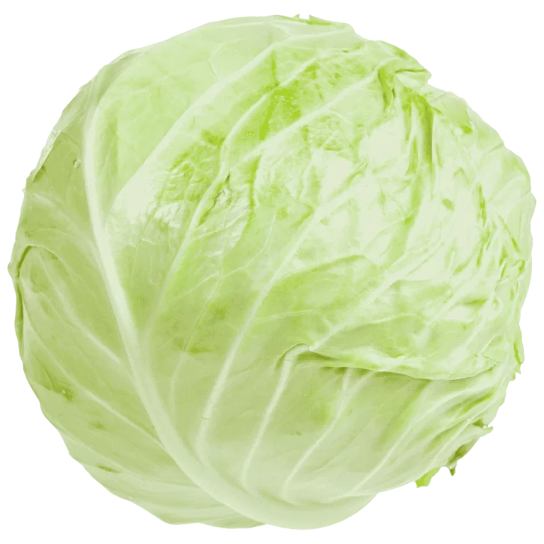 Weißkohl 10Kg
