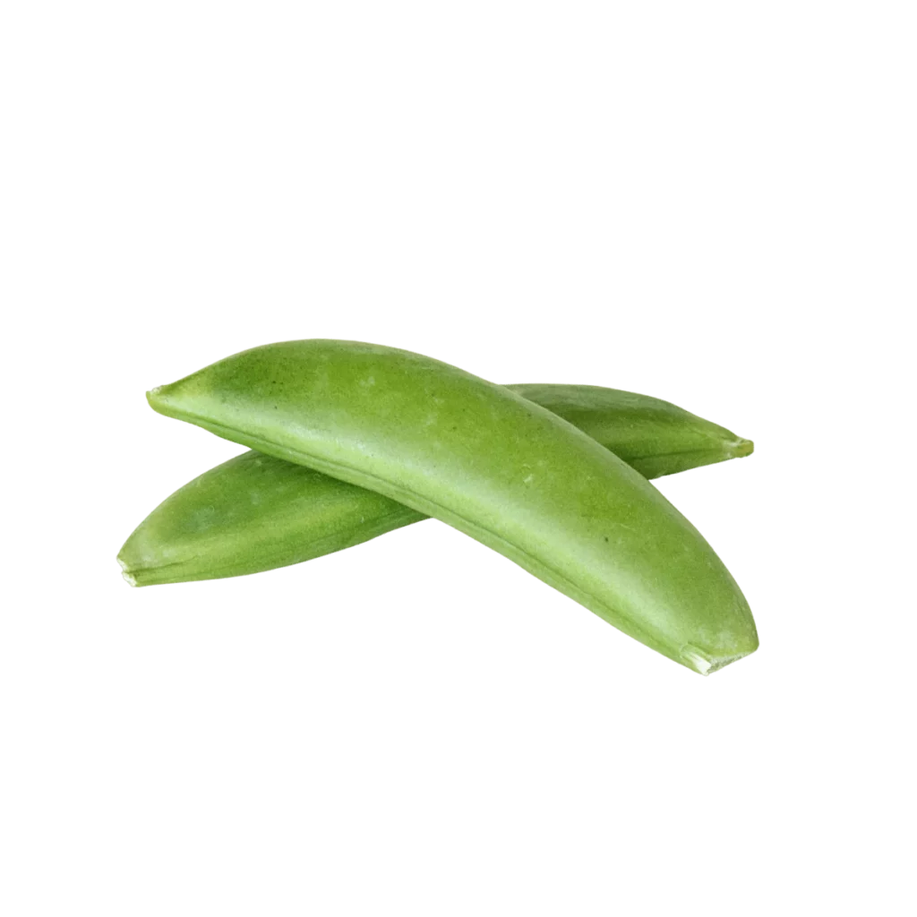 Zuckererbsen 12x250g