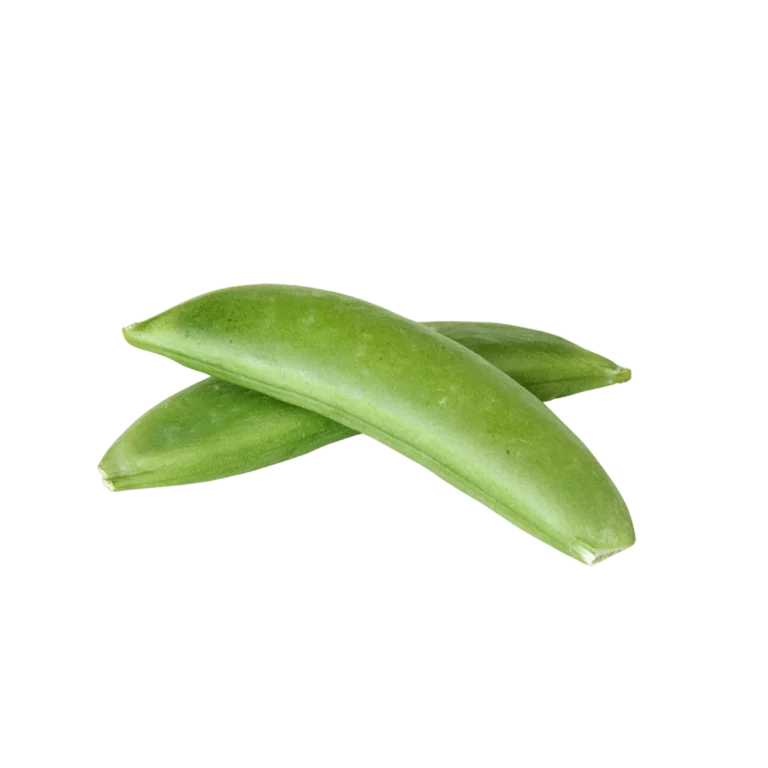 Zuckererbsen 12x250g