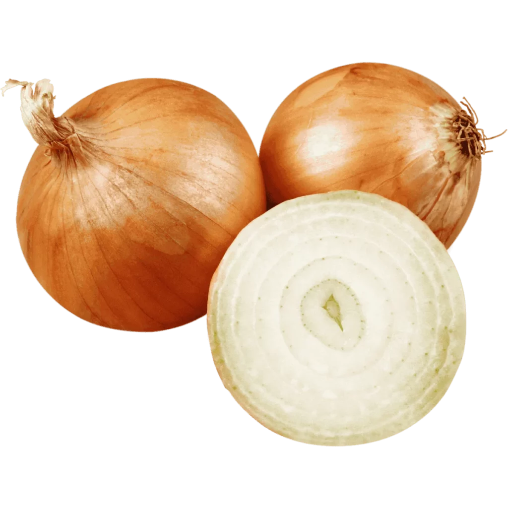 Zwiebel Span 25kg